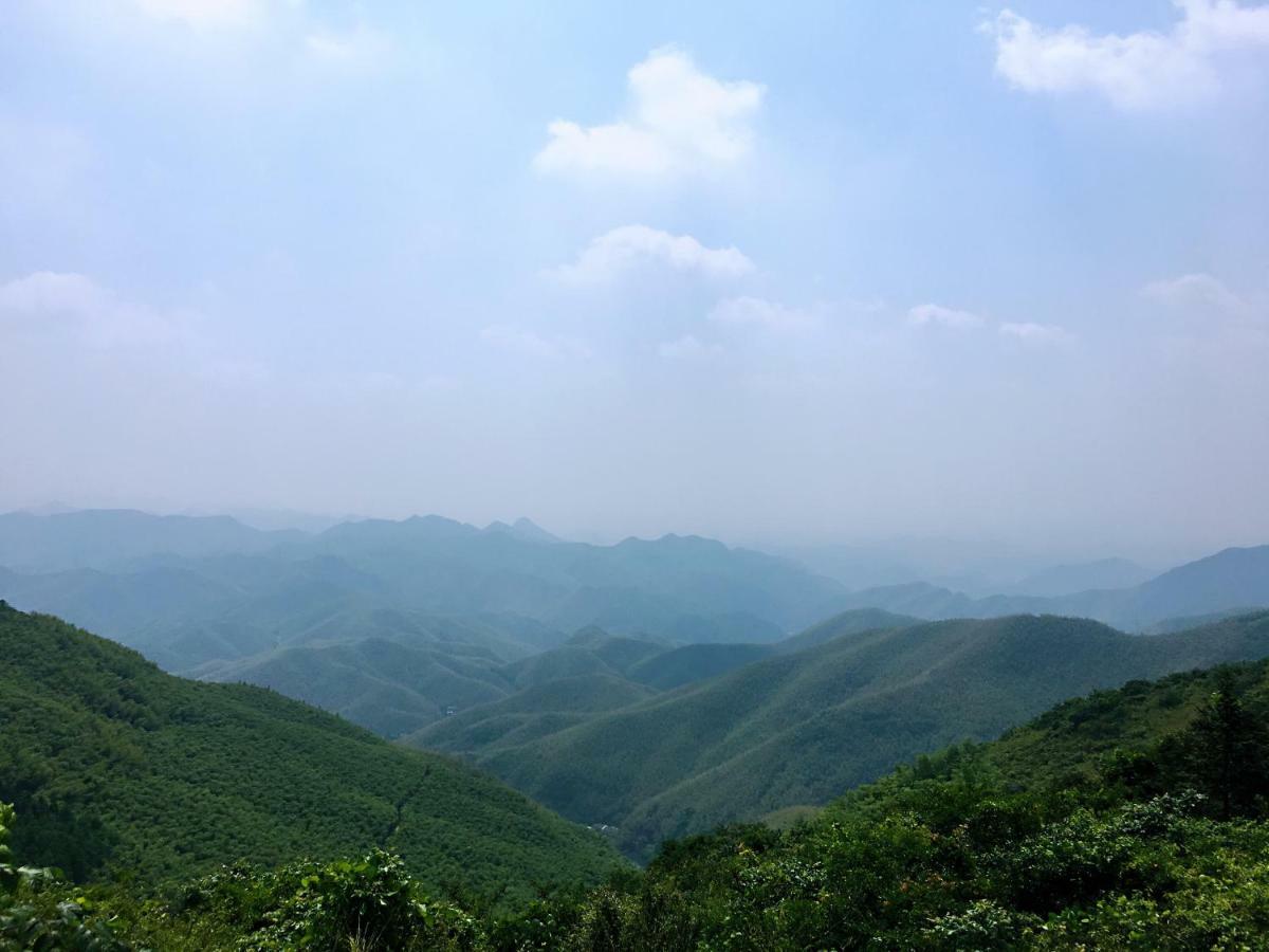 Moganshan Bamboo View Guesthouse Deqing Eksteriør billede